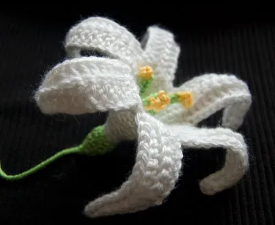 Easter Lily (November Lily)